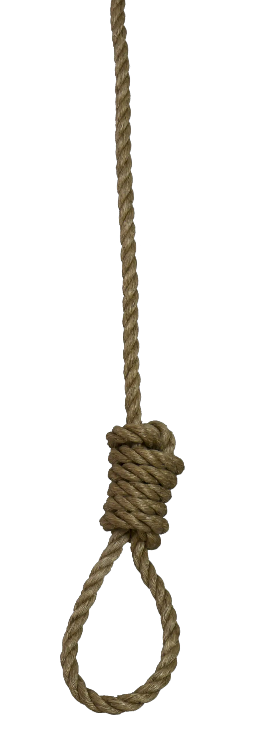 rope loop PNG