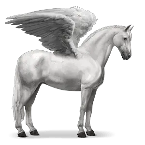 Pegasus PNG