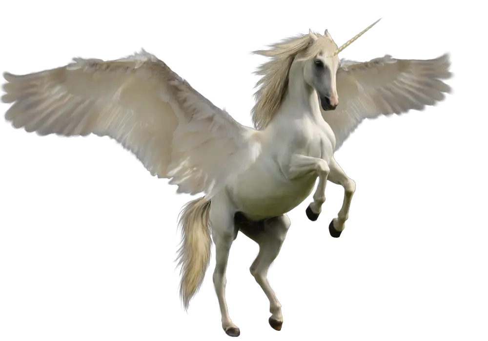 Pegasus PNG
