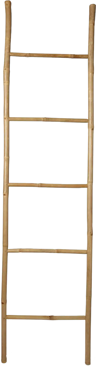 Wood ladder PNG