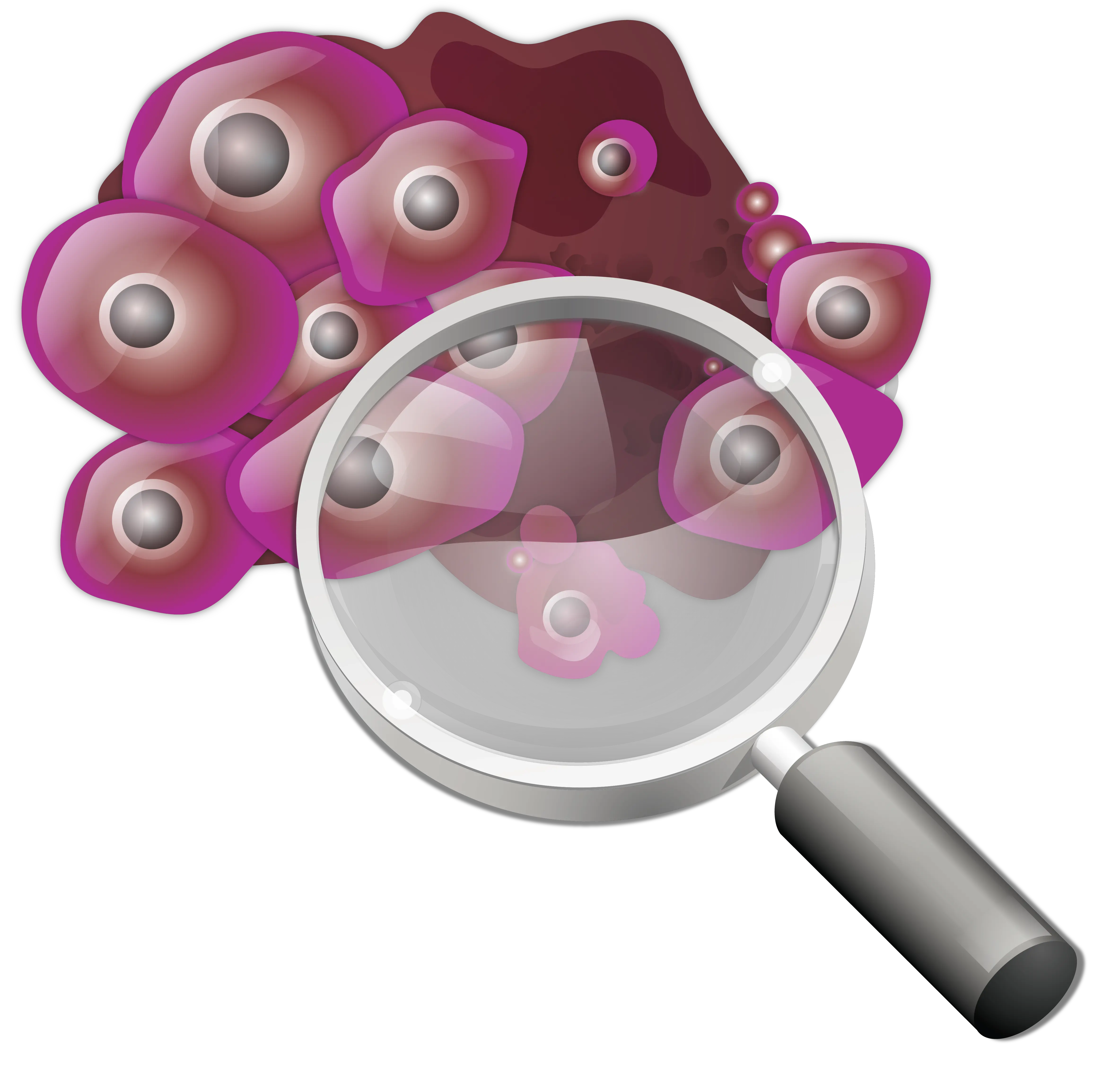 Loupe PNG