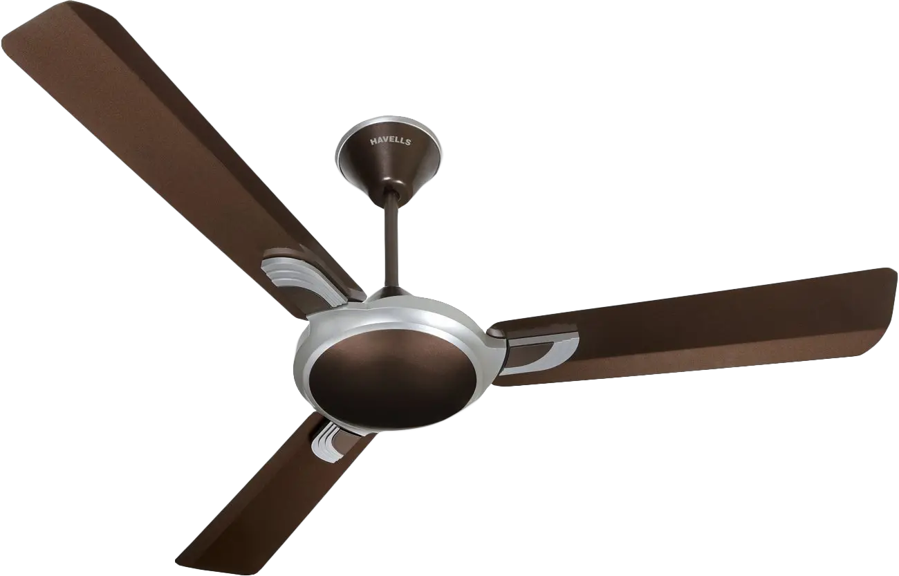 Fan PNG