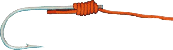 Fish hook PNG