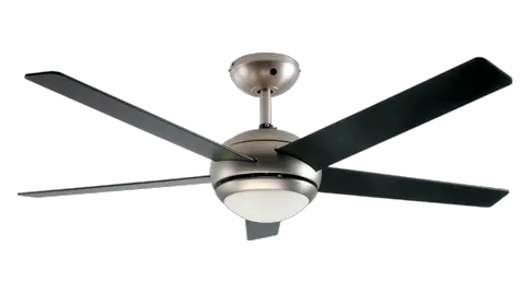 Fan PNG