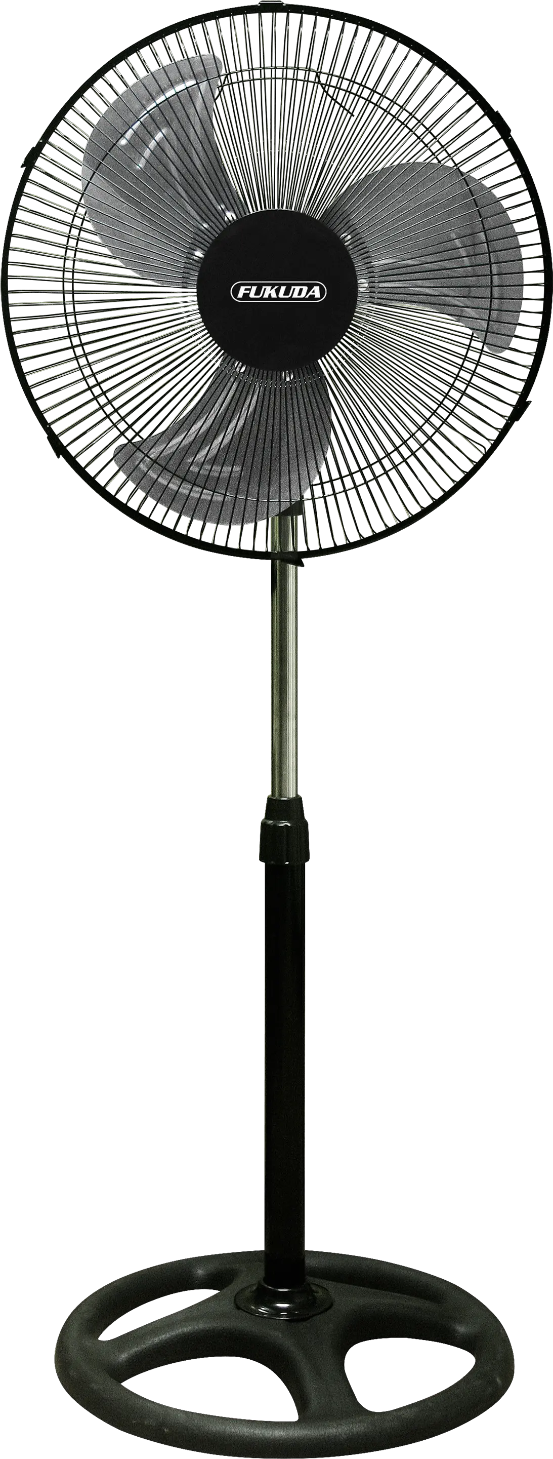 fan PNG