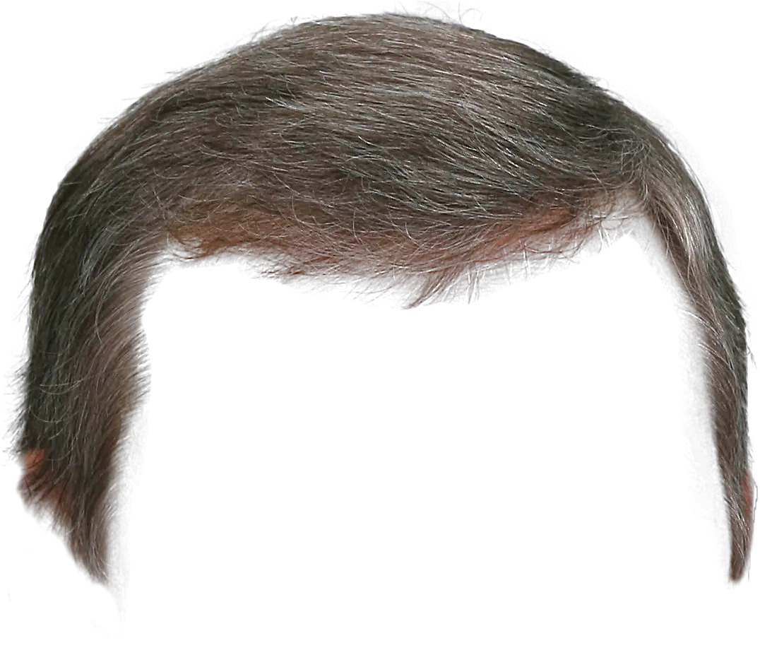 Hair wig PNG
