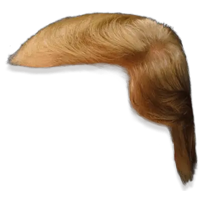 Hair wig PNG