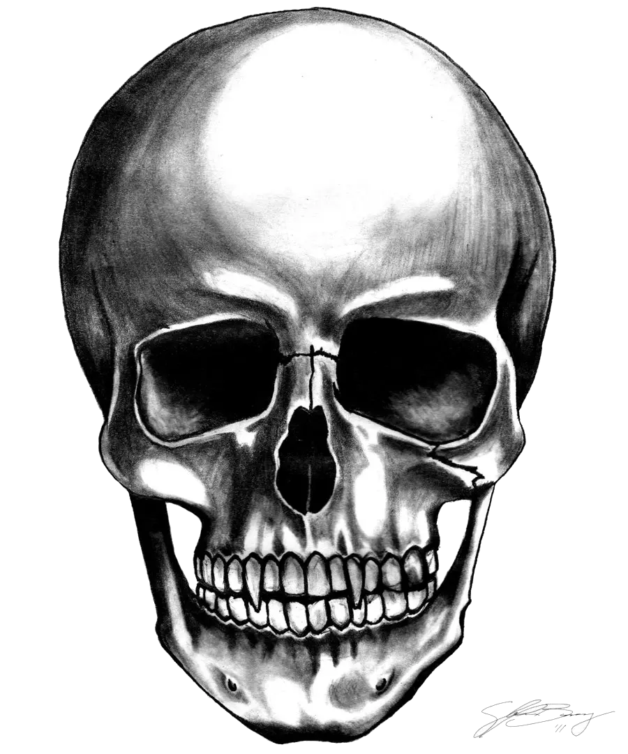 Skull PNG