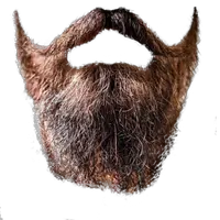 Beard PNG