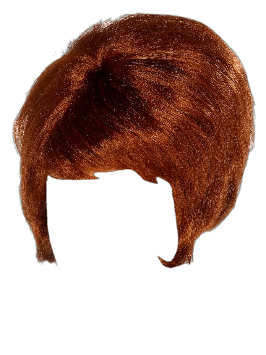 Hair wig PNG
