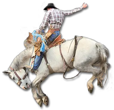 Cowboy PNG