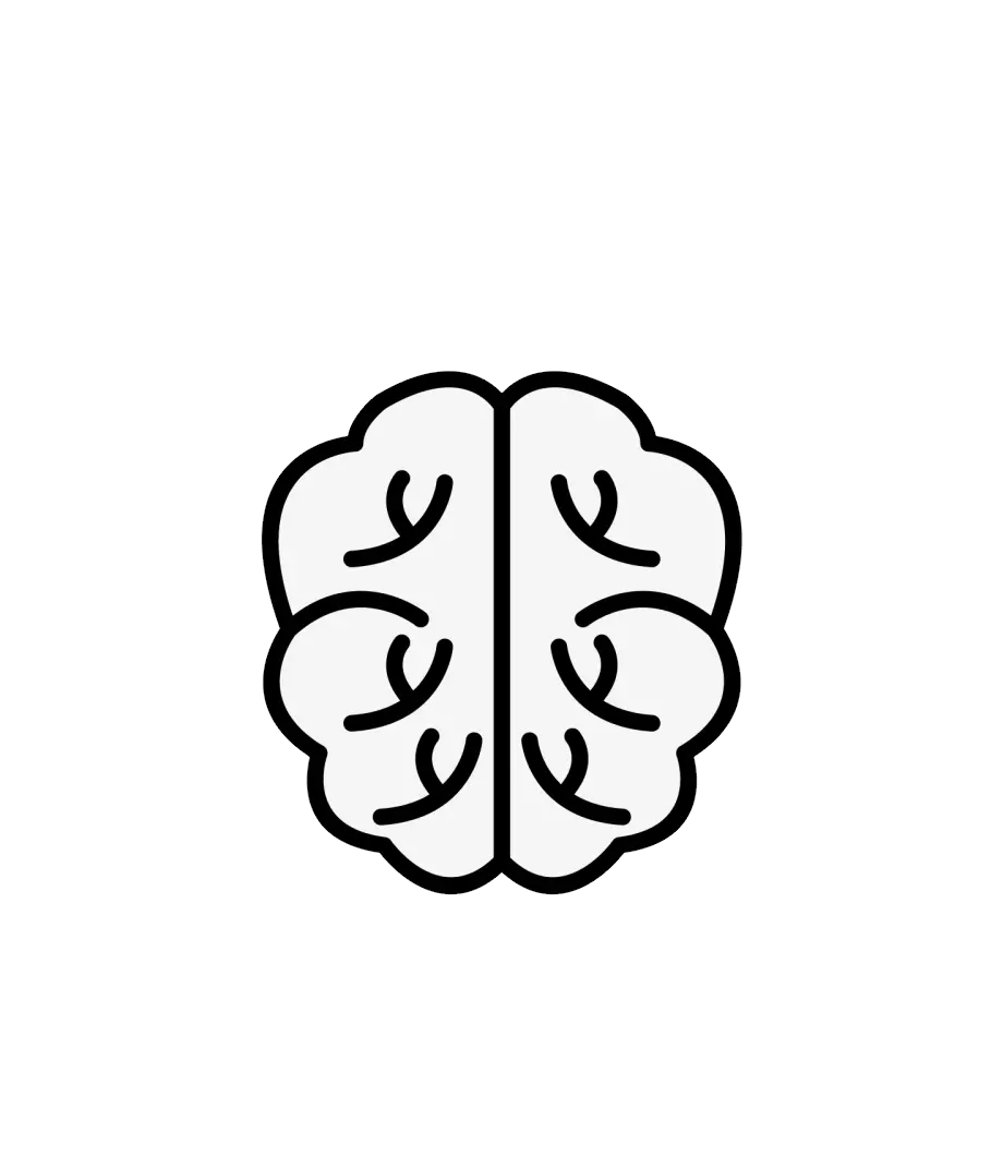 Brain PNG