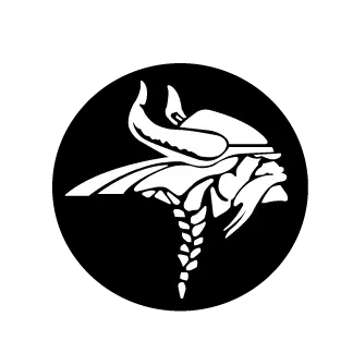 Viking logo PNG