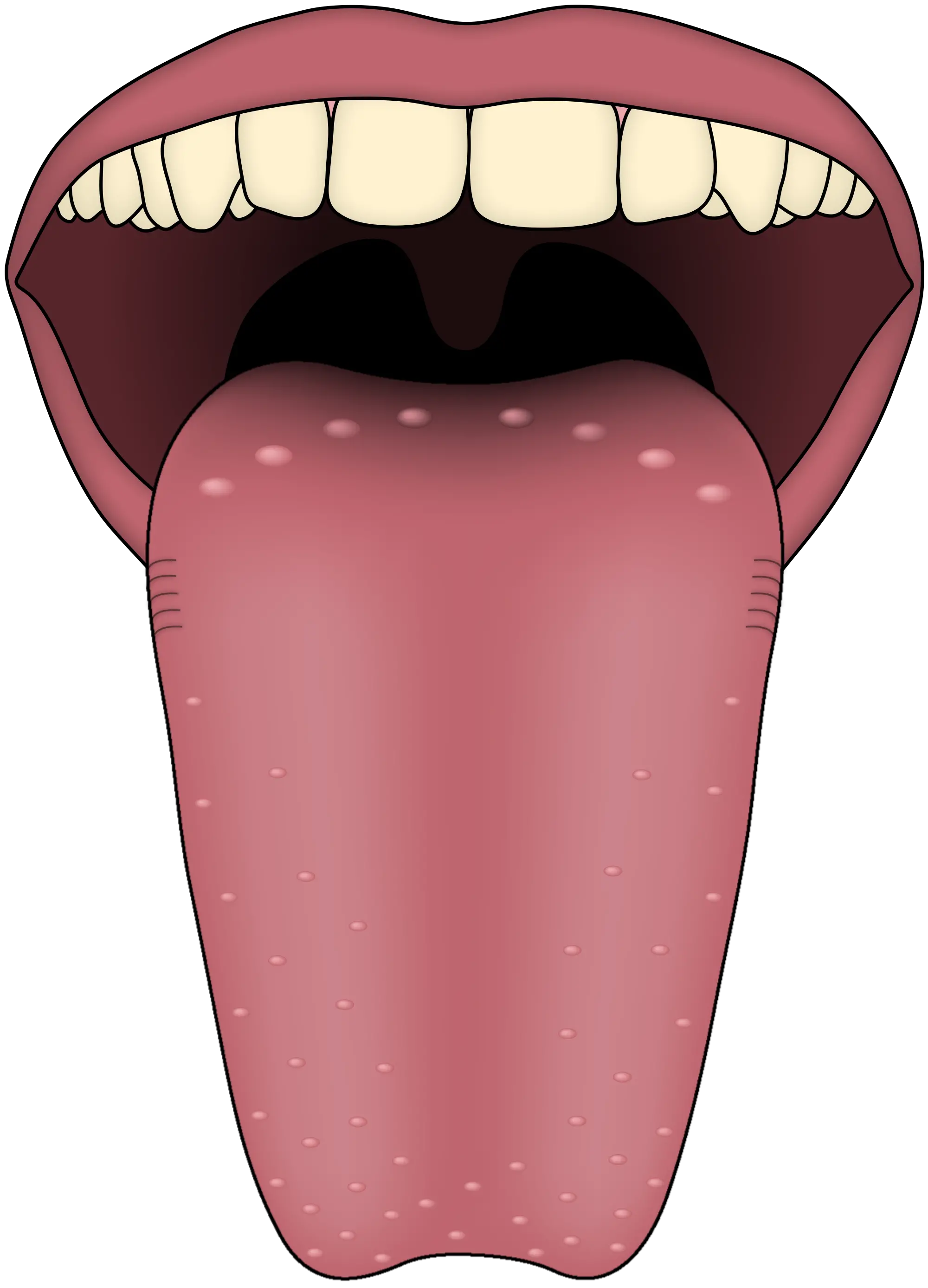 Tongue PNG