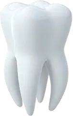 Tooth PNG image