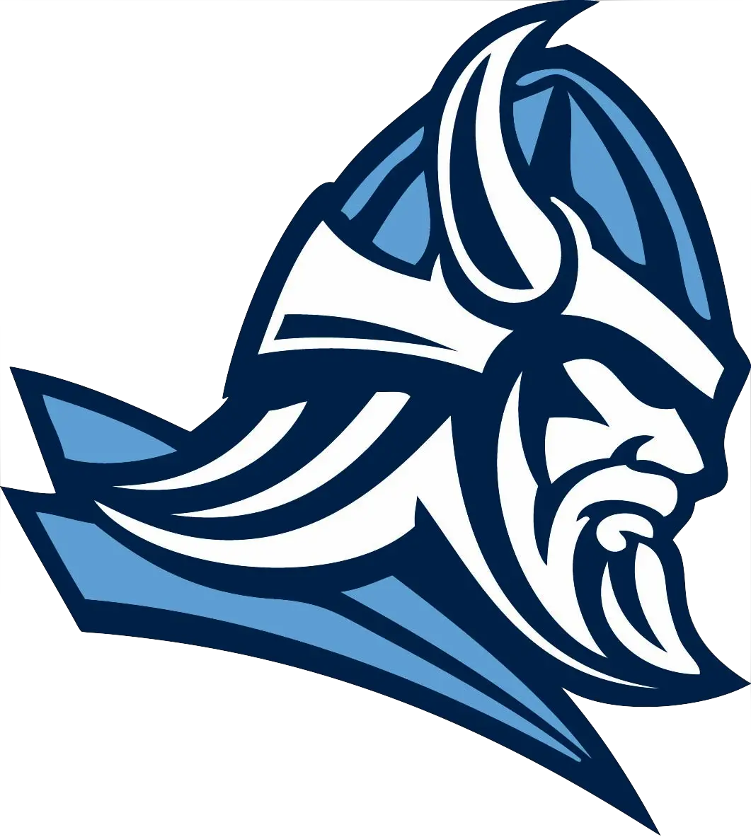 Viking head PNG