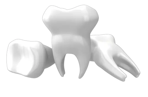 Teeth PNG image