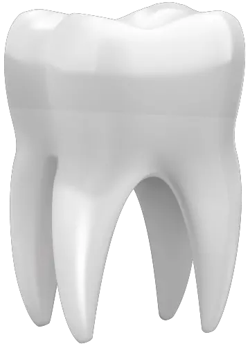 tooth png