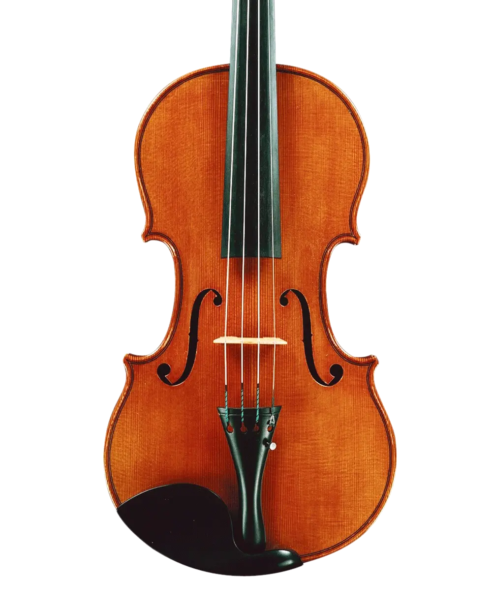Violin PNG