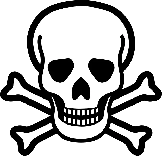 Skull PNG