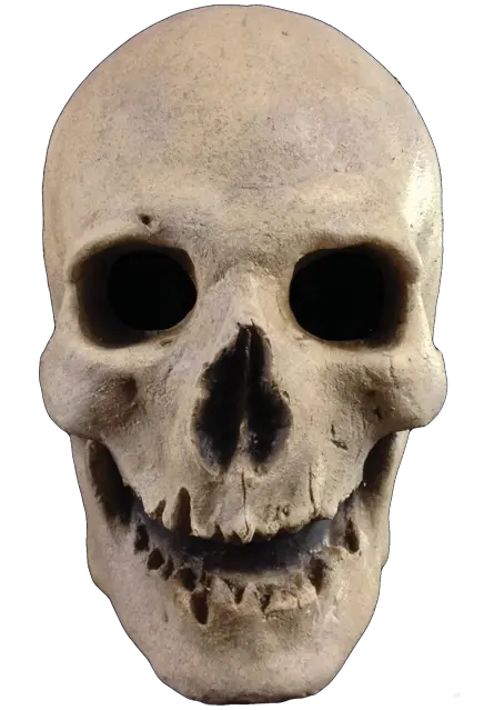 Skull PNG