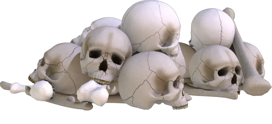 Skull
