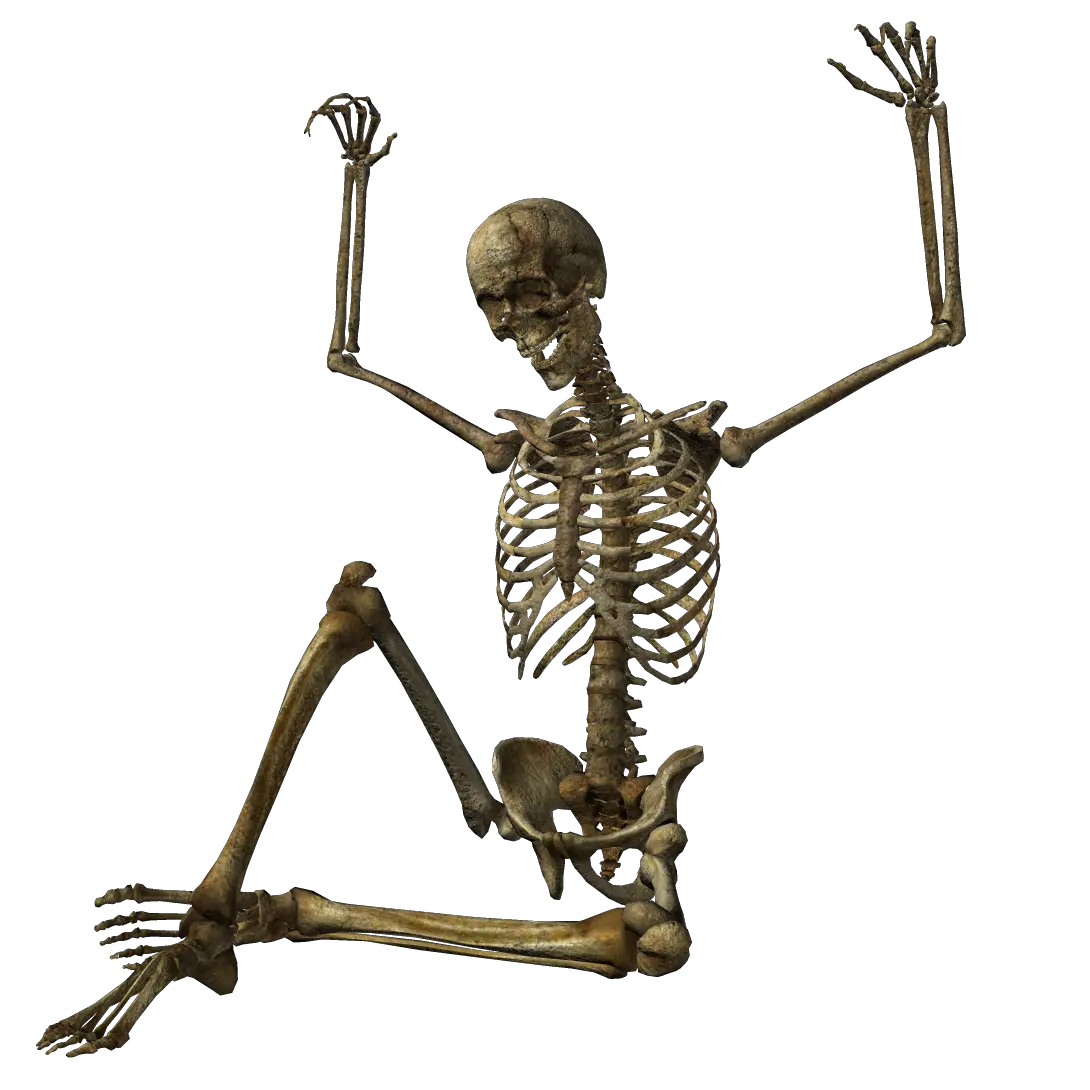 Skeleton PNG image