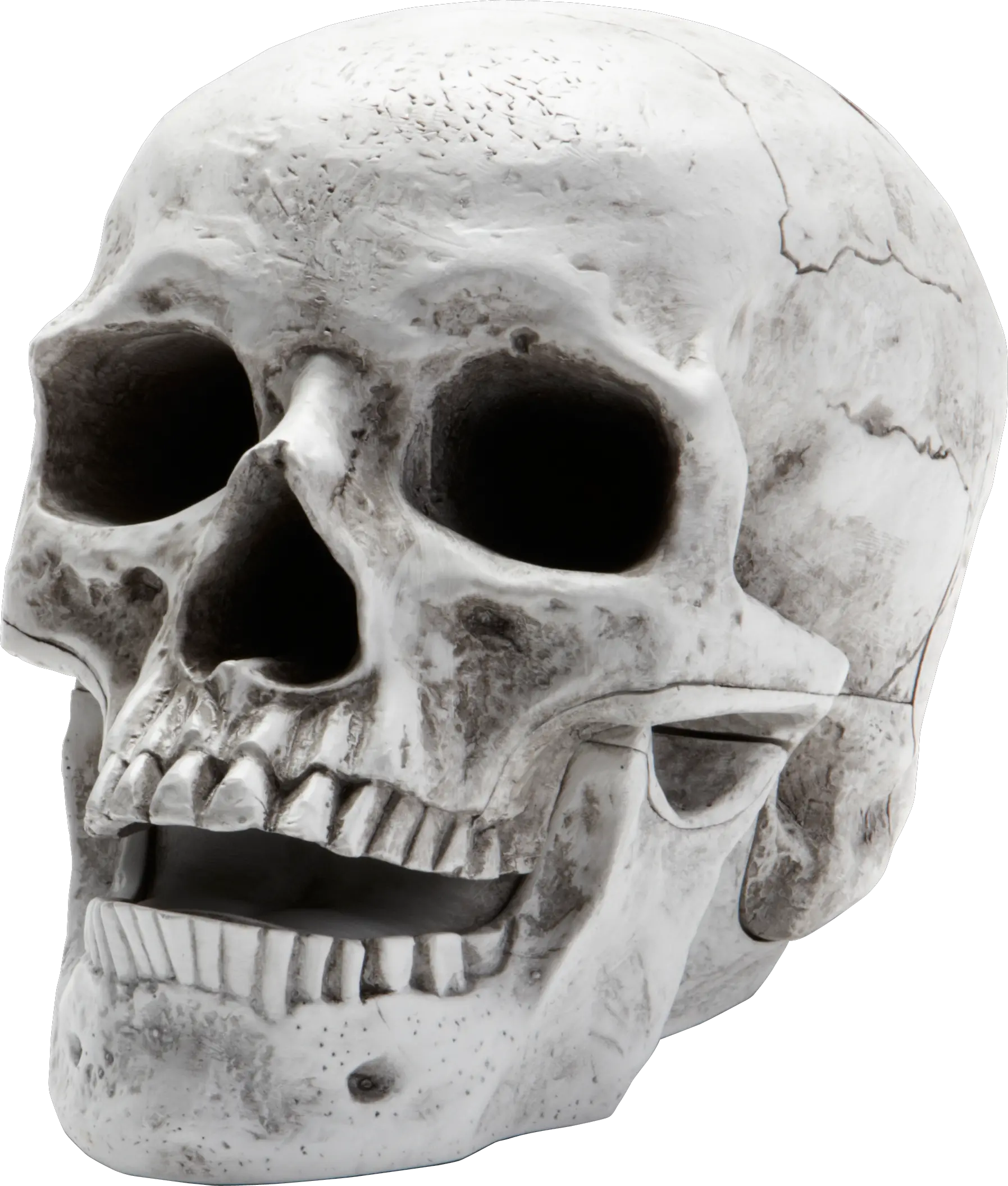 Skull PNG image