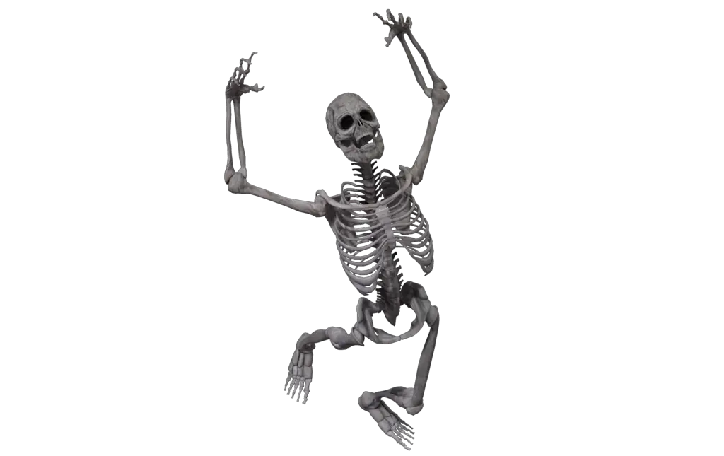 Skeleton PNG