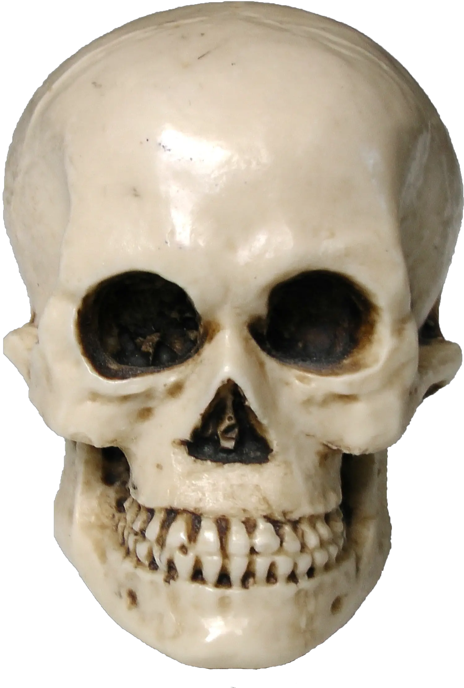 Skull PNG