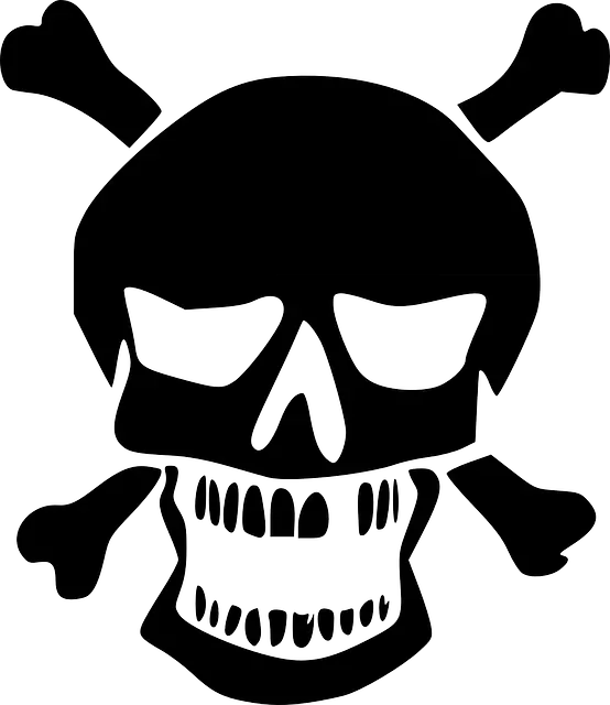 Skull logo PNG image