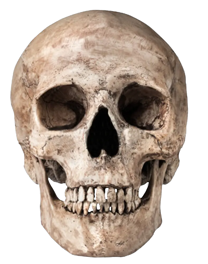Skull PNG