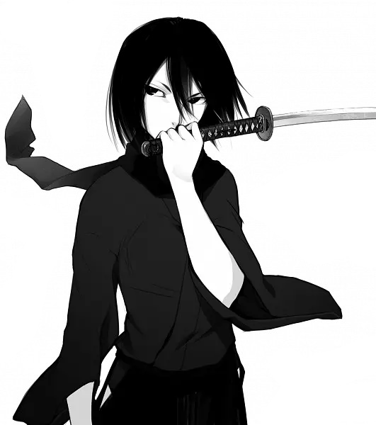 Samurai PNG