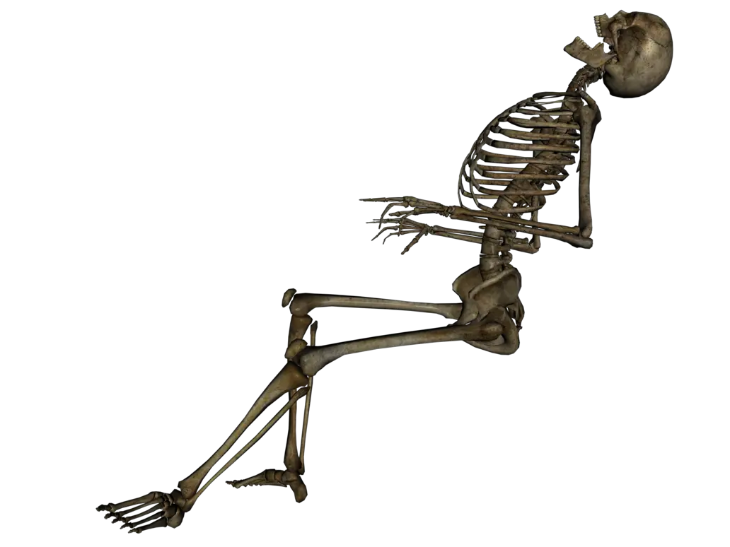 Skeleton PNG image
