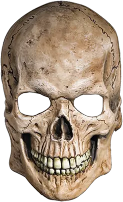 Skull PNG image