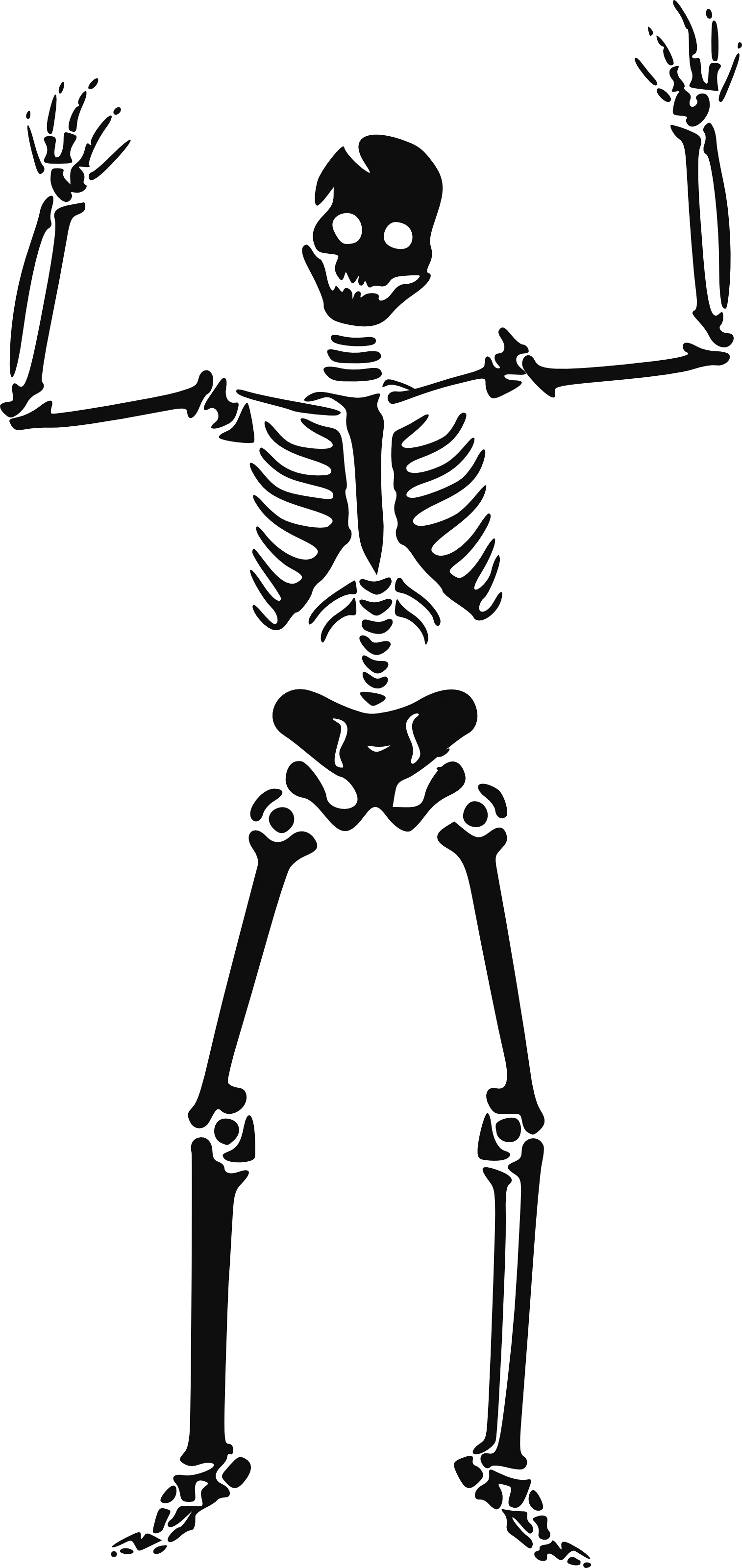 Skeleton siluet PNG image