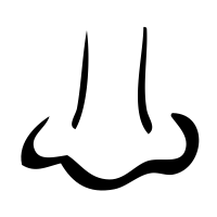 Human nose PNG