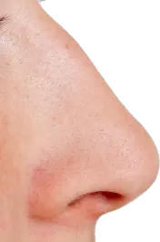 Human nose PNG