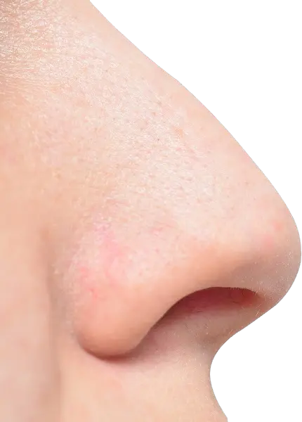 Human nose PNG