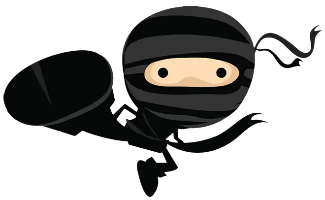Ninja PNG