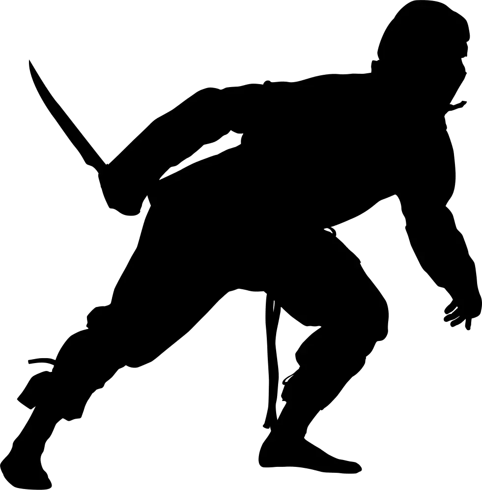 Ninja PNG