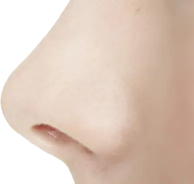 Human nose PNG