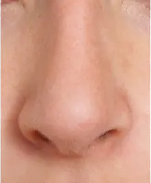Human nose PNG