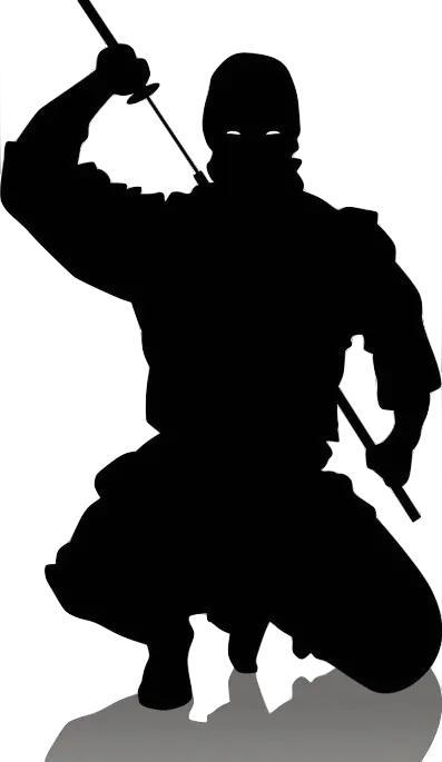 Ninja PNG