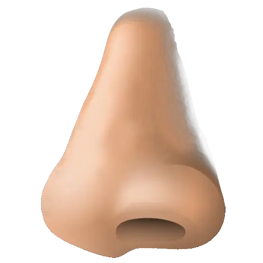 Human nose PNG