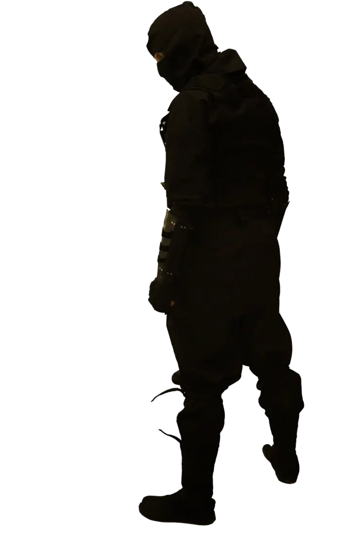 Ninja PNG
