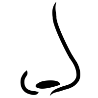 Human nose PNG