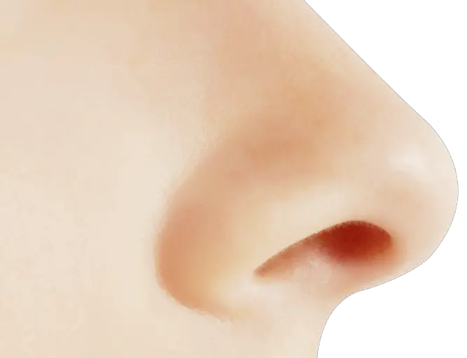 Human nose PNG