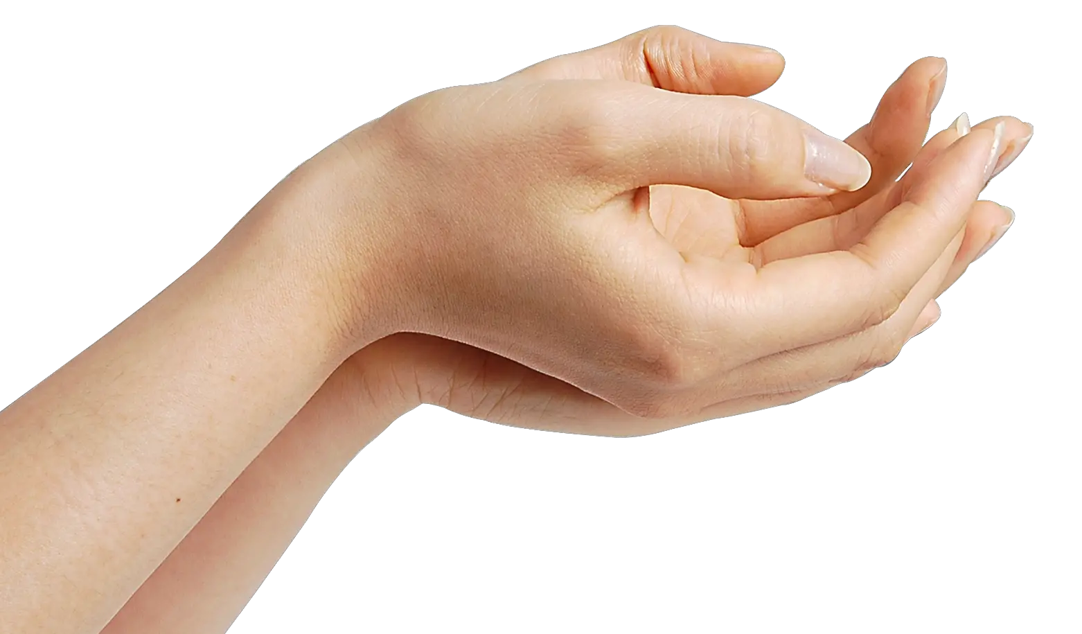 Hands PNG hand image free