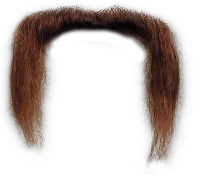Moustache PNG